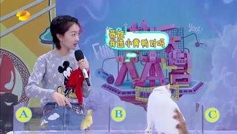 地球小子杯爆料视频在线观看